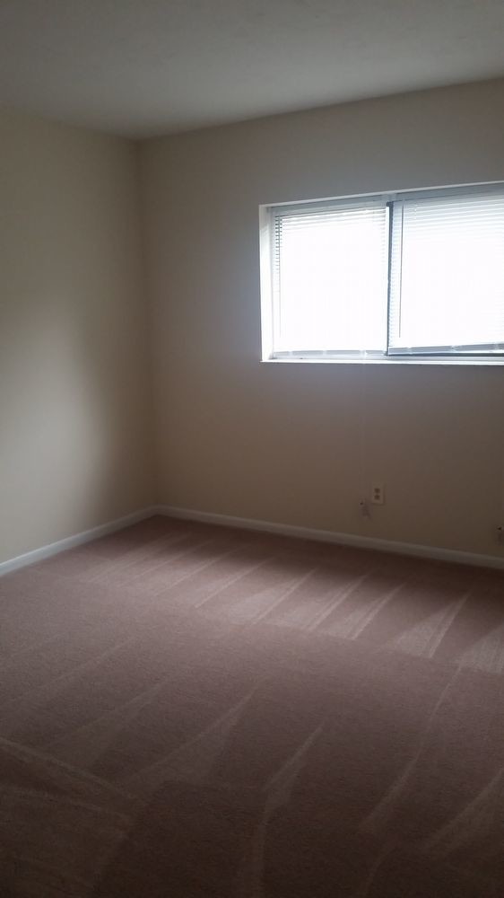 Building Photo - HOLLY TREE