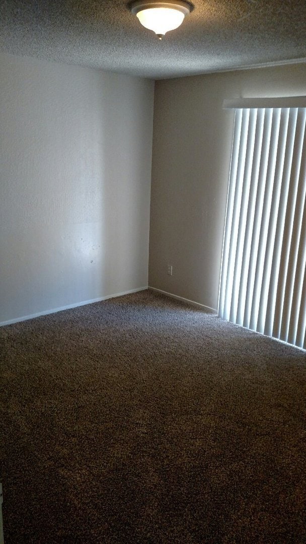 Building Photo - Available Soon!