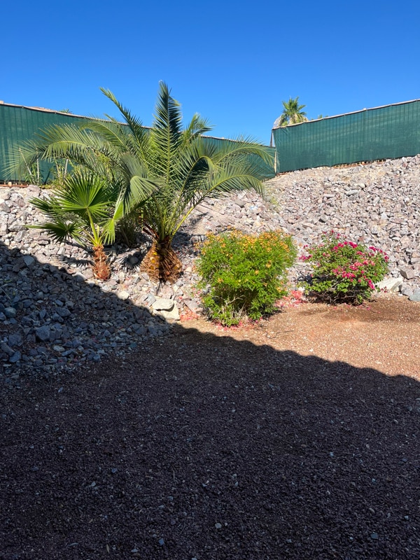 Foto del edificio - 3567 Cottage Stream Ct