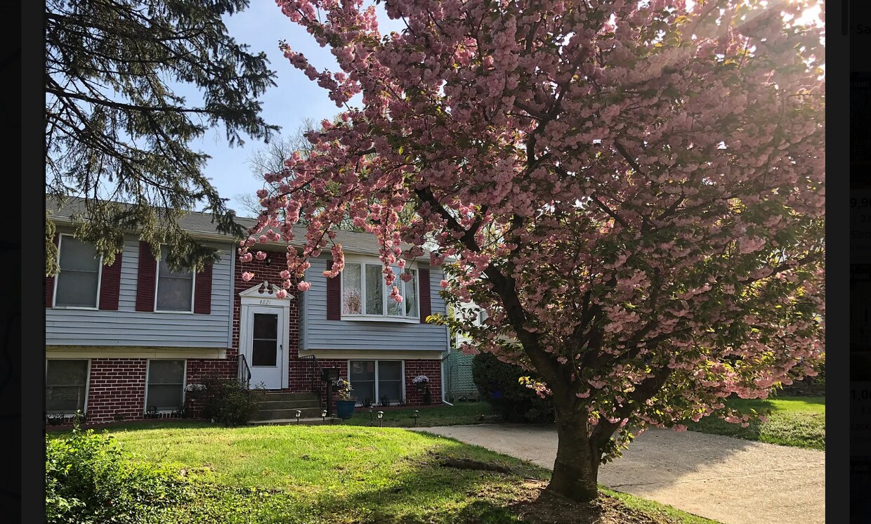 Foto principal - 4821 Fox St