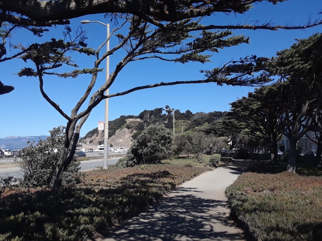 Photo - 782 Great Hwy Apartment