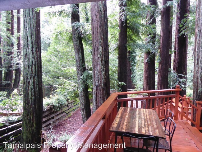 Foto del edificio - 3 br, 2 bath House - 335 Madrone Ave