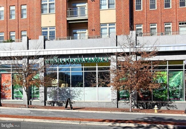 Building Photo - 309 Holland Ln