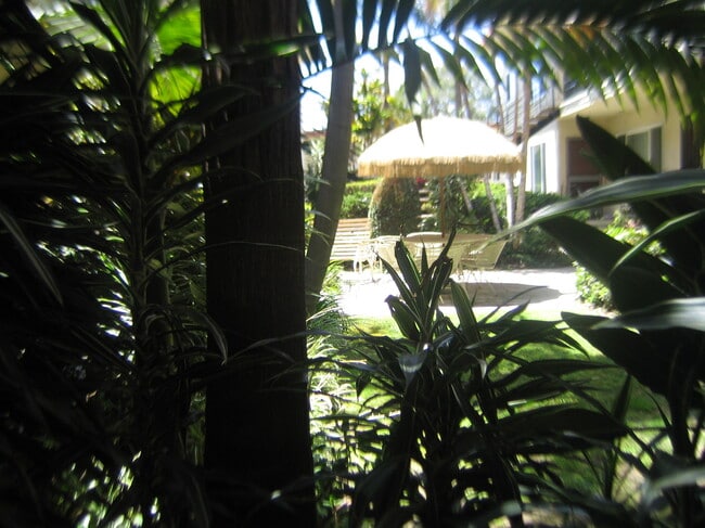 Building Photo - Palms