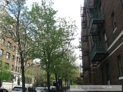 Foto del edificio - 295 Convent Ave