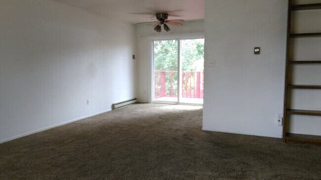 Foto del edificio - Great Home in West Fort Collins