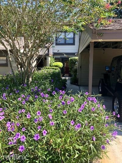 Foto del edificio - 245 Woods Landing Trl