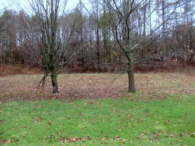 Foto del edificio - 3 bedroom in Schenevus NY 12155