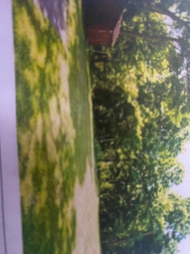 Foto del edificio - 52 Littleton Rd