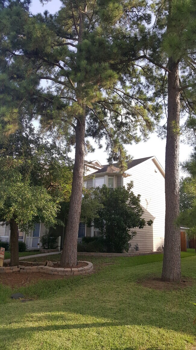 Vecinos amigables, ambiente familiar, parque infantil. Cerca de servicios y autopistas. - 23619 Twisting Falls Drive