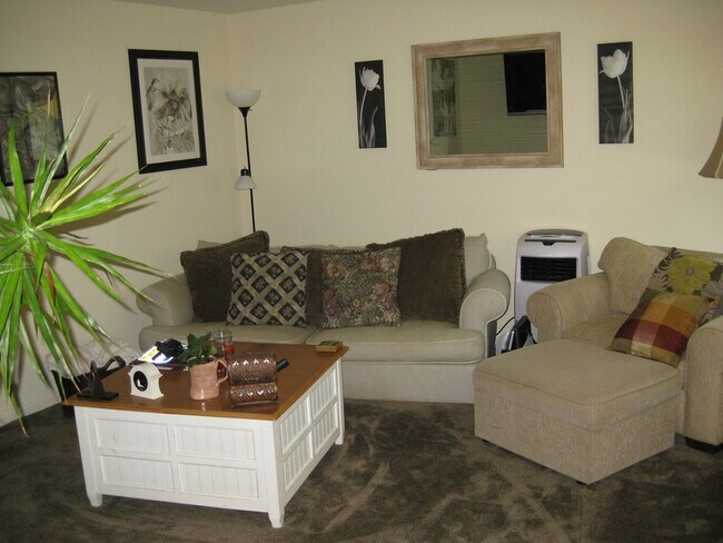 Foto del edificio - 207 Magnolia Dr
