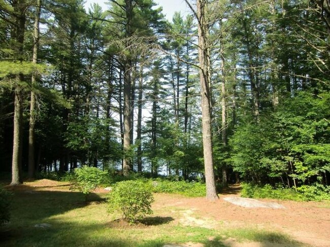 Building Photo - 7 bedroom in Center Harbor NH 03226