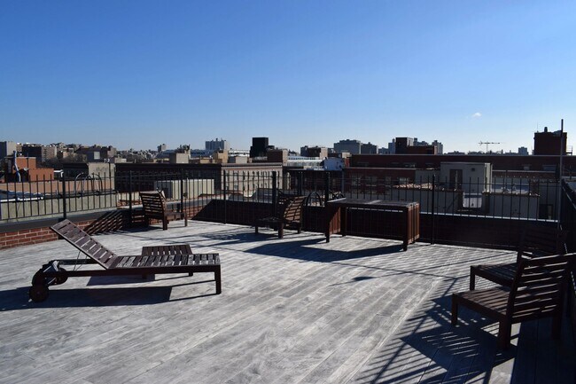 communal roofdeck - 214 Bradhurst Ave