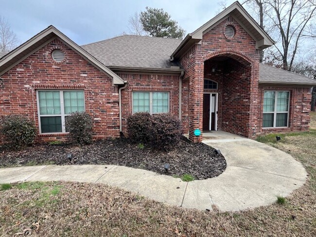 Foto del edificio - Very Spacious Austin House