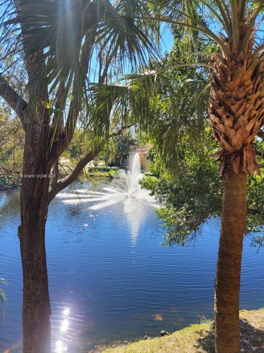 Foto principal - 3860 Coral Tree Cir