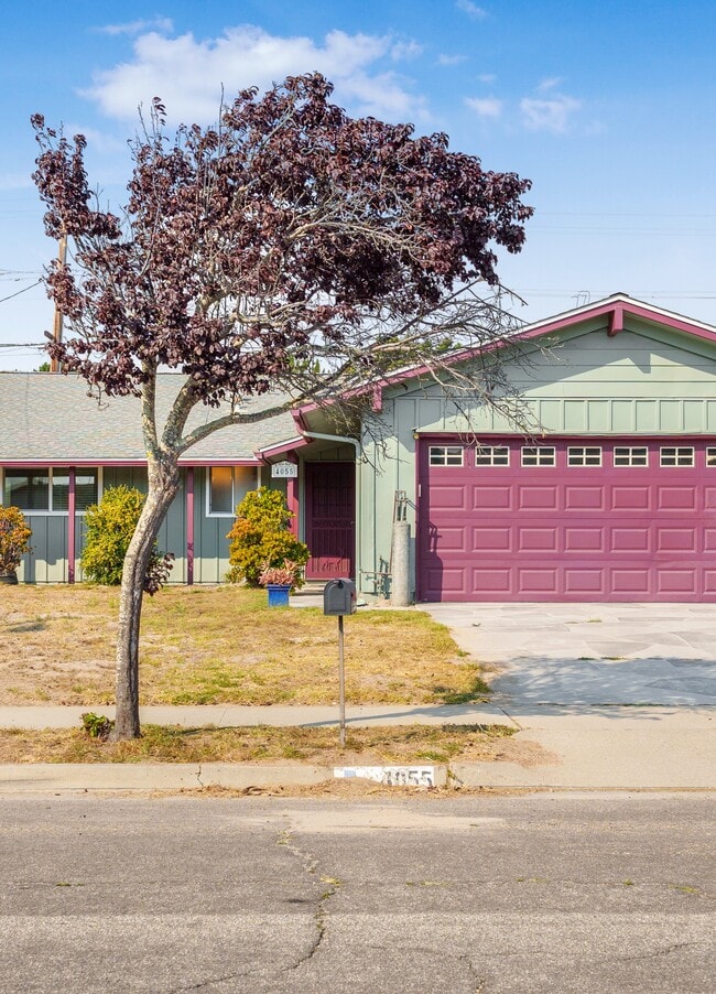 Building Photo - 4055 Draco Dr