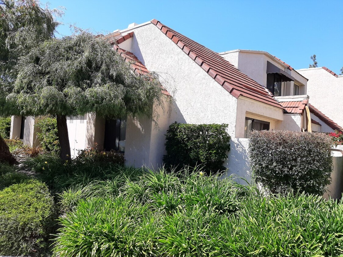 11 Largo St Unit Largo, Laguna Niguel, CA 92677 Condo for Rent in