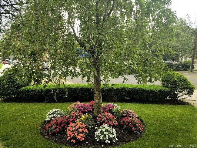 Foto del edificio - 53 Prospect St