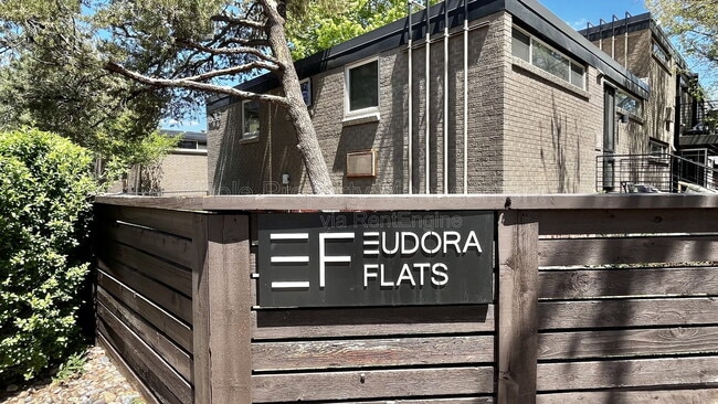 Photo - 908 Eudora St Apartment