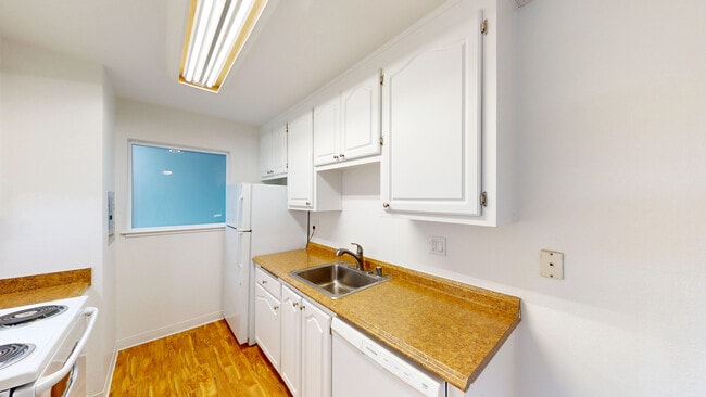 Building Photo - 445 Ignacio Blvd