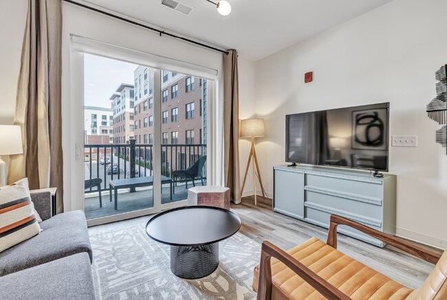 Interior Photo - Olive & Wooster