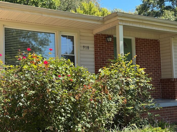Primary Photo - Look and Lease-pet friendly