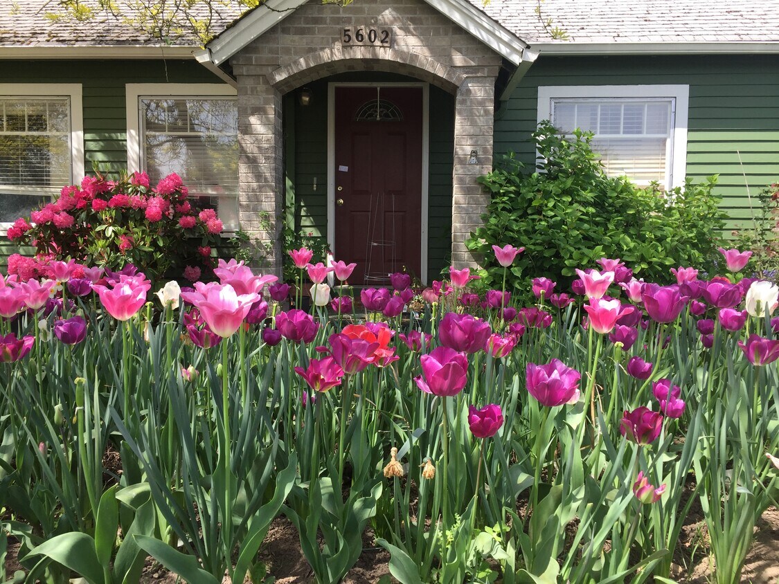 Foto principal - 5602 NE St James Rd