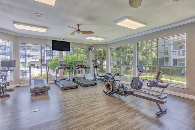 An abundance of cardio equipment - Windsor Addison Park