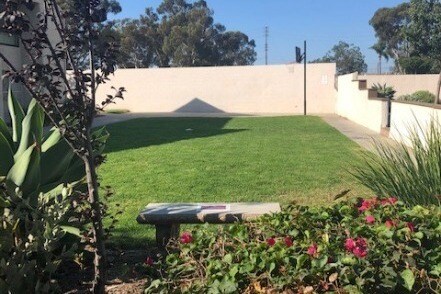 citrus glen apartments apartments in ventura ca westside rentals