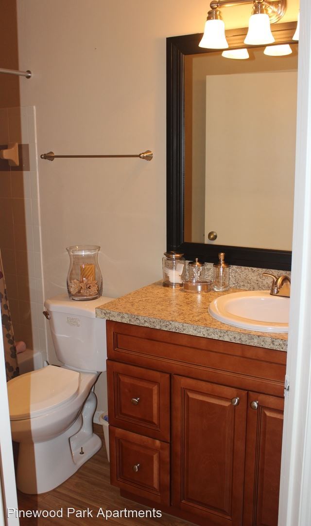 Pinewood Park Apartments in Kissimmee, FL