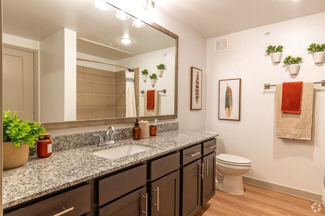 Baño principal - Luxia Grand Prairie