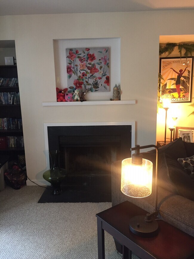 fireplace in living room - 1282 Maple View Dr