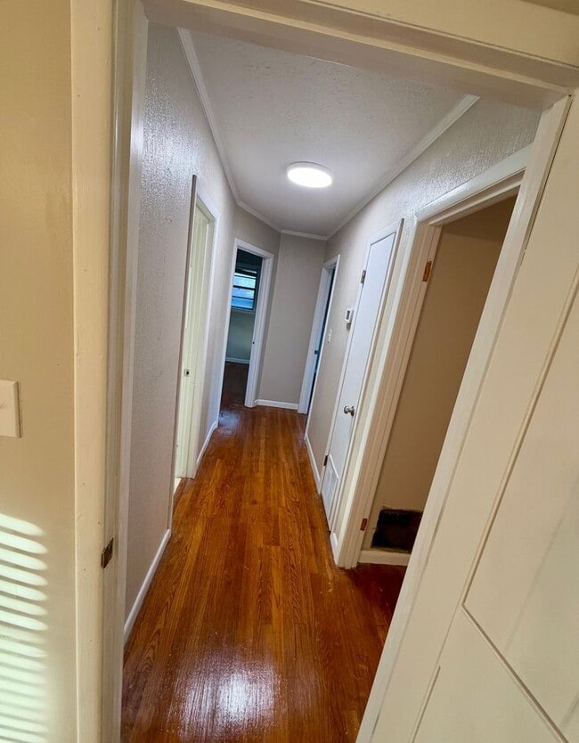 Building Photo - 623 Maynard Dr