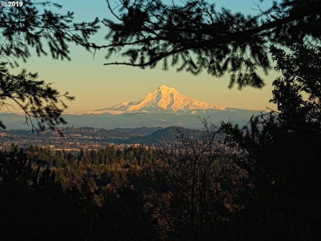 Foto del edificio - 48 Eagle Crest Dr