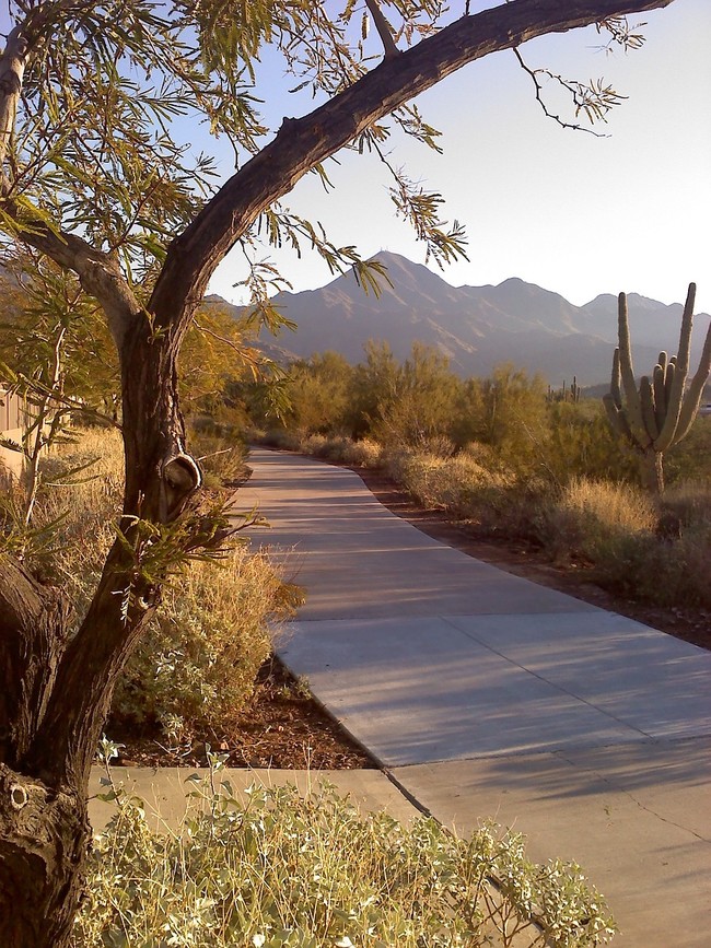 Go walking or jogging on the McDowell Mountain Trail