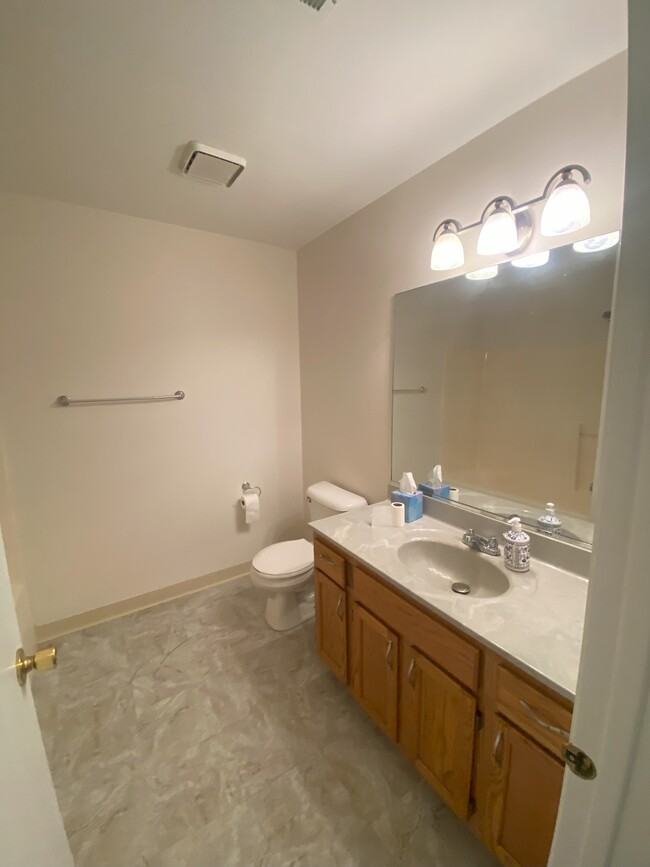CommonBathroomView1 - 295 Woodridge Cir