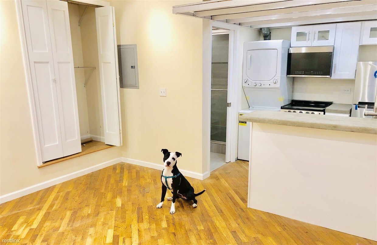 Studio, 1 bath - 1049 N Paulina St Apt A - Studio, 1 bath  - 1049 N Paulina St Apt A
