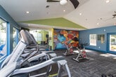 This single-level fitness center is thoughtfully designed to provide a comprehensive workout environment in a visually engaging setting. The space is defined by vaulted ceilings that lend an open, airy feel, complemented by a color palette of cool blues and chartreuse greens across the walls. A striking large-scale abstract mural anchors one end of the room, adding a bold artistic focal point that energizes the atmosphere.

The cardio zone features multiple treadmills and elliptical machines arranged along a wall of wide windows that frame views of an outdoor pool and surrounding greenery, allowing natural light to fill the space. Wall-mounted televisions are positioned for easy viewing during workouts. A full-length mirror along one wall visually expands the room and supports form-checking during exercise.

The strength training area is well-appointed with a multi-functional cable machine, a dumbbell rack with a flat utility bench, and additional free weights. Spin bikes occupy a dedicated section of the floor, offering cycling options alongside the broader cardio equipment lineup.

Durable patterned carpet tiles cover the flooring throughout, providing both cushioning and traction. Recessed lighting and ceiling fans ensure consistent illumination and air circulation. Glass double doors at the entrance offer views of the surrounding outdoor environment, making this fitness center a bright and inviting space for daily use.