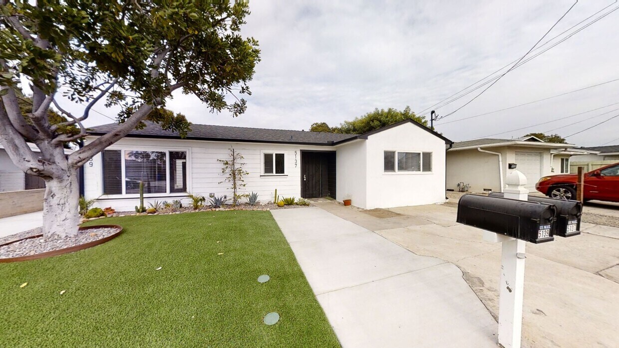 Primary Photo - 5BD/2BA, Easy Walk to Campus!!