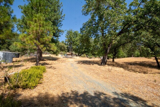 Foto del edificio - Charming Lindal Cedar Home on 10 Acres