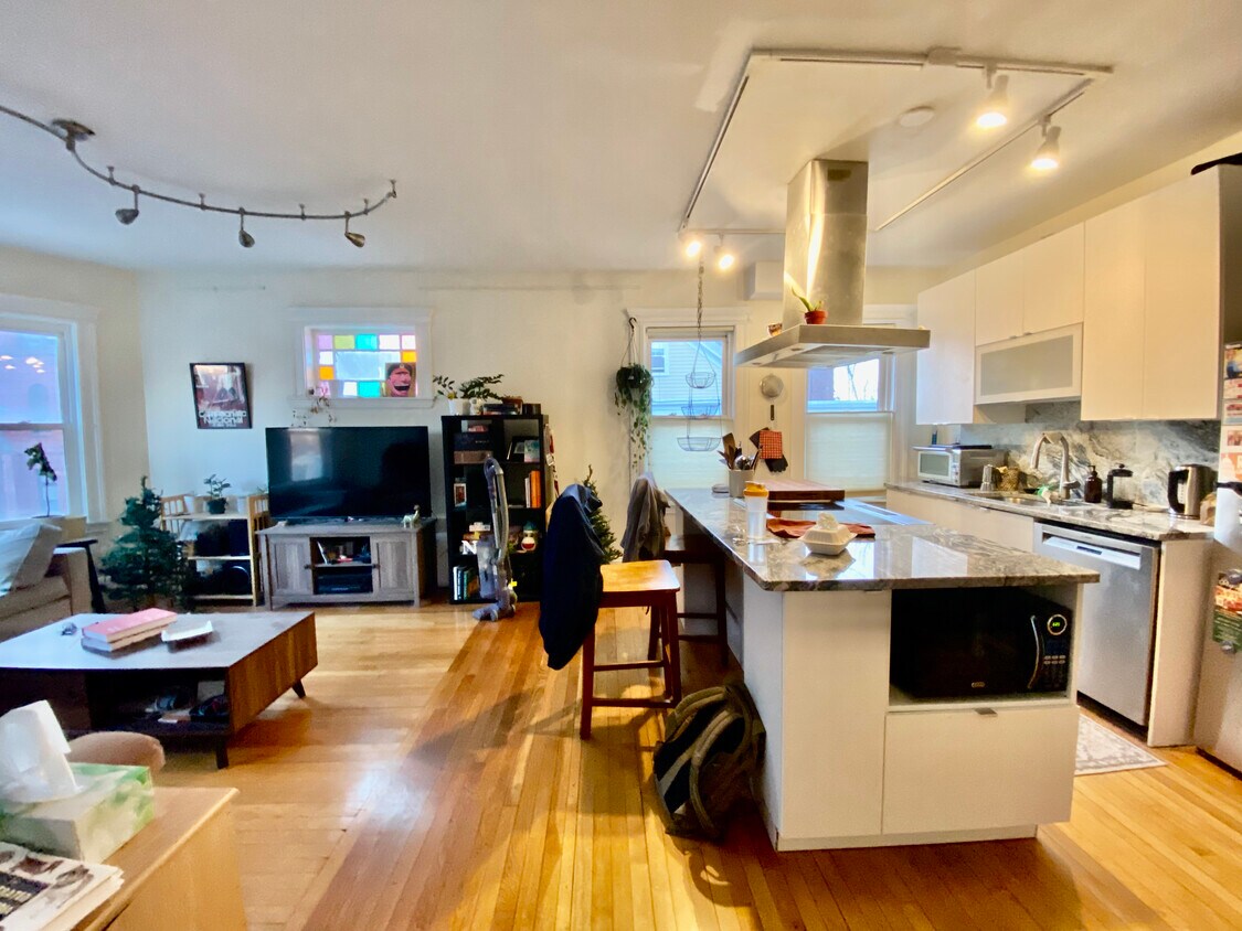 Primary Photo - 229 Harvard St