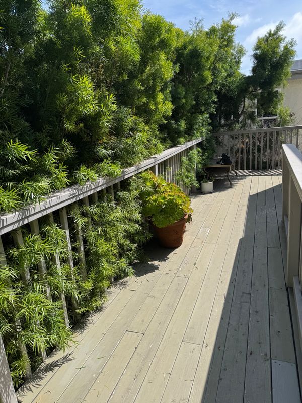 Foto del edificio - 1236 23rd St