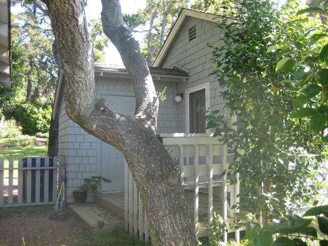 Building Photo - 1Br/1Ba Cozy Cottage Studio with Lots of Y...