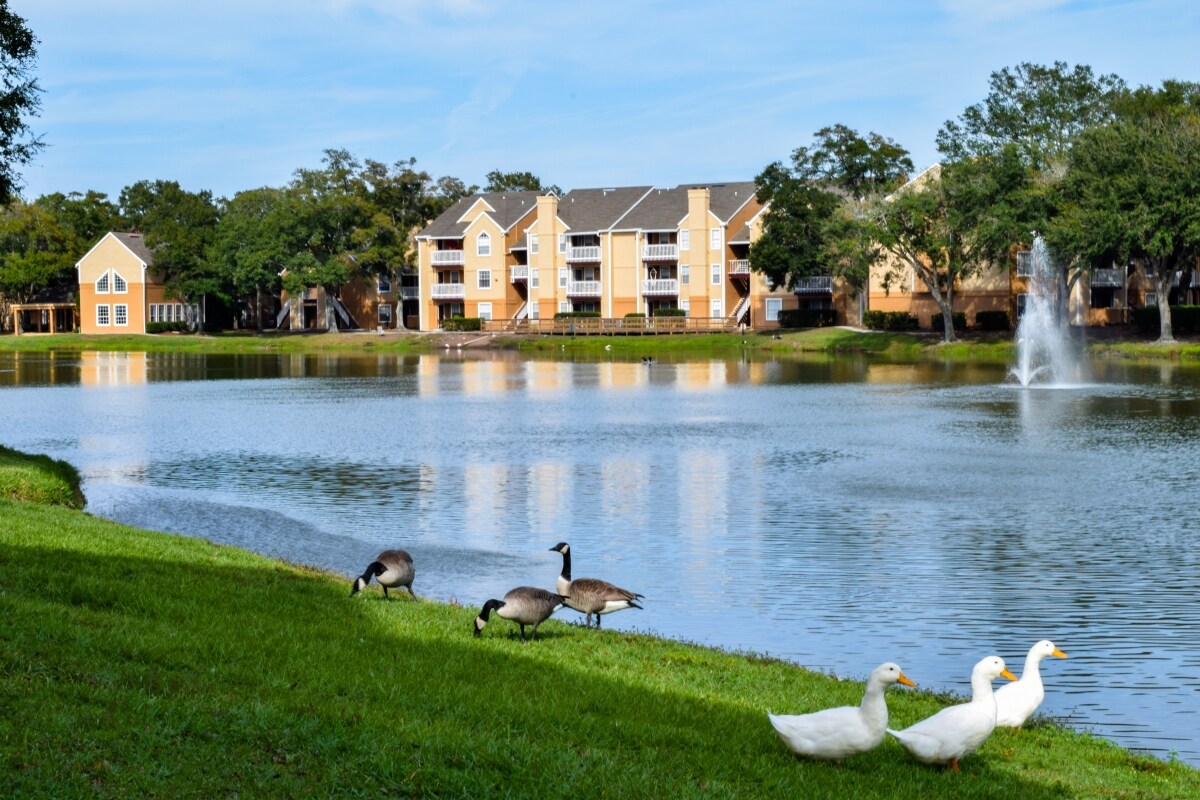 The Park at Via Apartments Jacksonville, FL