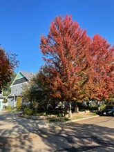 Building Photo - 1178 St John St