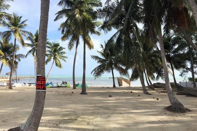 Muelle - 109 Carroll St