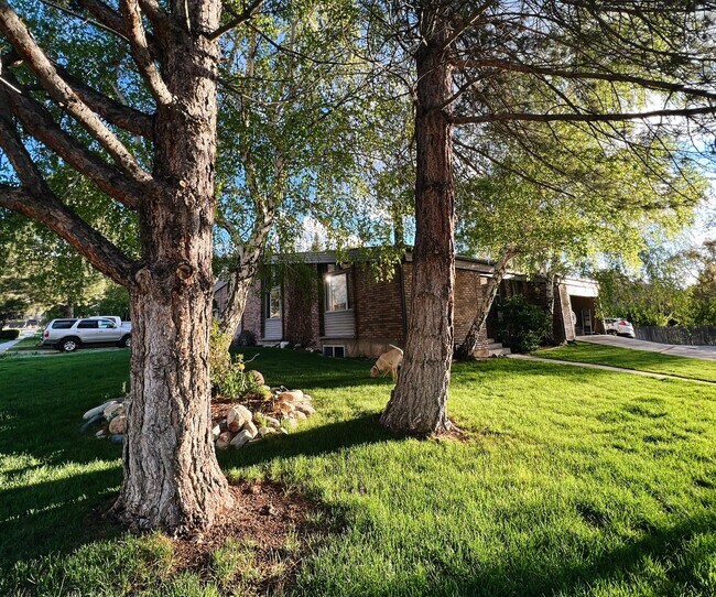 Exterior front yard - 3672 E Winesap Rd