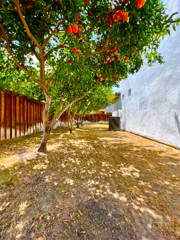 Building Photo - 50083 San Solano Rd