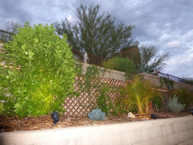 Three tier patio garden- MAGNIFICANT - 13600 N Fountain Hills Blvd