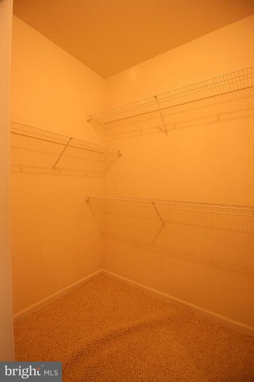 Building Photo - 3810 Lightfoot St